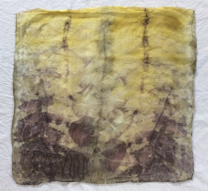 Walnut, sumac,blackberry and unknown wild flower