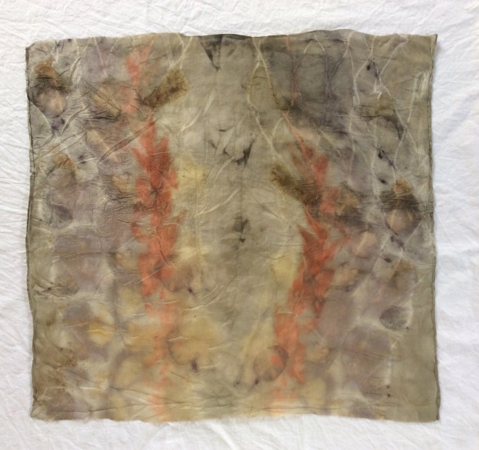 Eucalyptus, walnut, blackberry and unknown vine