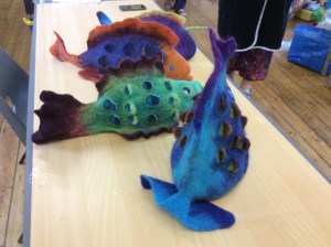 A few of the amazing funky fish displaying their colourful gills