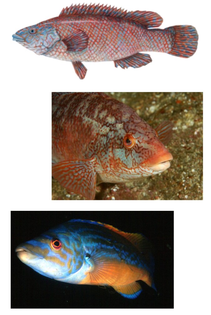 B0AB4F0D-1A37-4CF6-8C42-BD250252C151