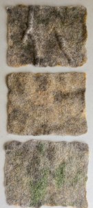 Wet felted Bergschaf fibres