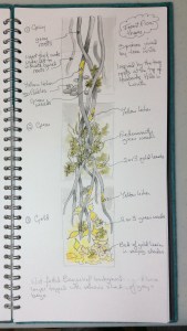 Sketchbook page showing a design for piece of textile art